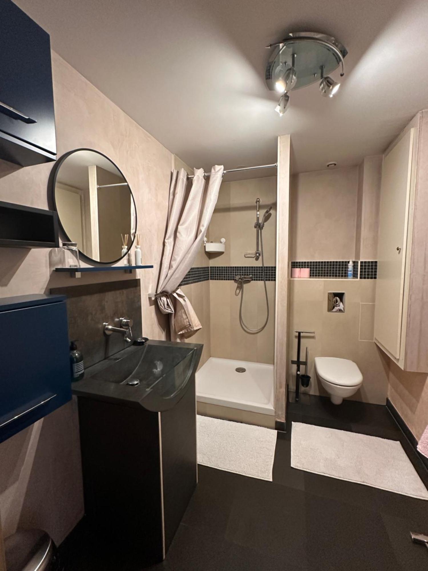 Chambre Privative Au Rez De Jardin Dans Villa La Wantzenau Εξωτερικό φωτογραφία